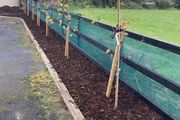 windbreak netting
