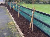 main image for ad windbreak netting