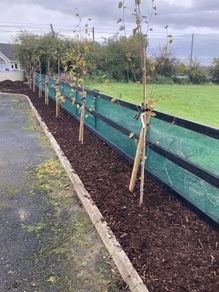windbreak netting