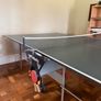 Butterfly Ping Pong Table Image 4