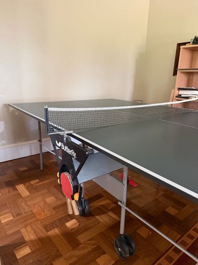 Butterfly Ping Pong Table