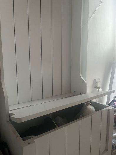 shoe box and coat rack storage box