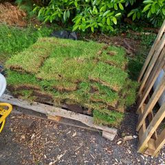 Grass Sods