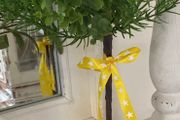 Shabby-Chic Greenery in a pot with Ribbon
