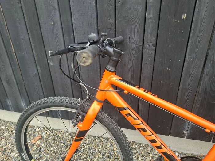 Giant ARX 24 inch kids bike