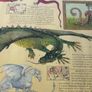 Dragonology The Complete Book of Dragons Image 10