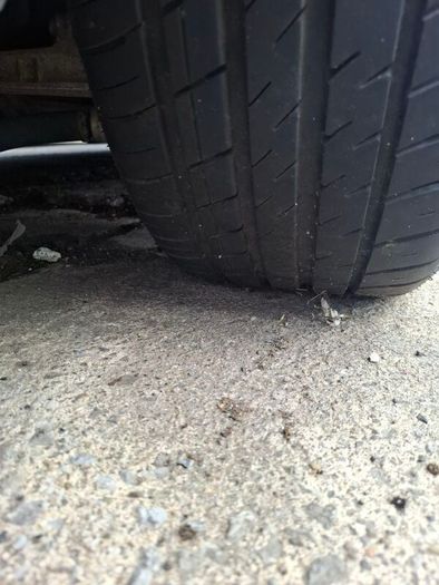 Audi Alloy's! Fitted on an 05 A4.