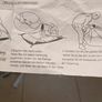3 men pop up tent it's takes 3mins to setup Image 8