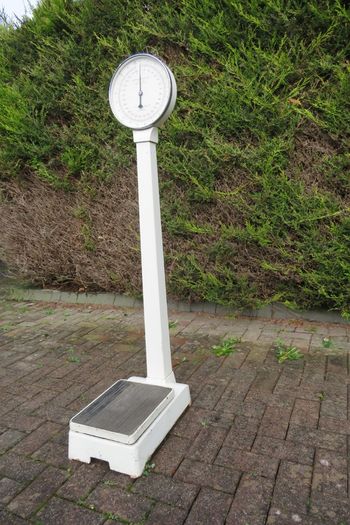 1967 vintage H. Fereday & Sons Ltd. column / lollipop scale