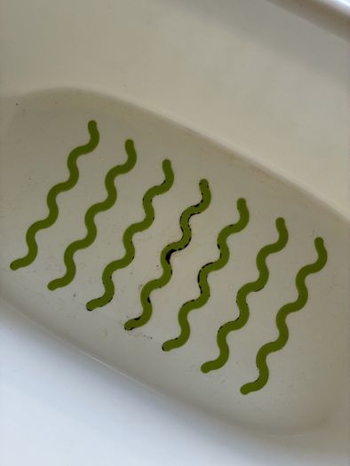 baby bath