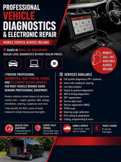 Diagnostics& electric repare