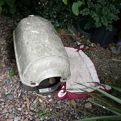 Free cat box