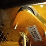 telecaster body cv ash Image 5