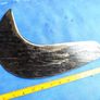 Large Bill Hook Image 5