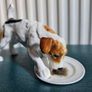 Rare Vintage Royal Doulton Jack Russell Terrier Dog Figurine Image 4