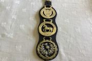 Horse Brasses