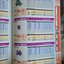 Pokemon HeartGold and SoulSilver Strategy Guide Image 7