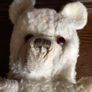 1950s/ 1960s Well loved Straw filled Glass eyed Collectors bear Image 3