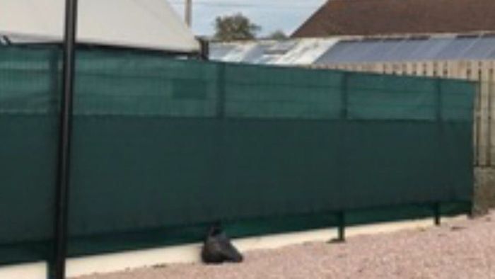 privacy screens