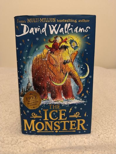 David Walliams Hardback Books