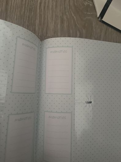Baby photo album