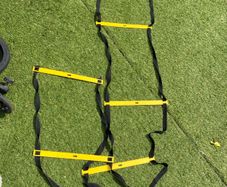 forza speed and agility ladder for fitness
