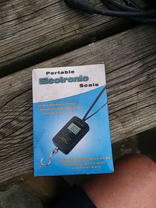 portable digital scales