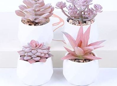 Set of 4 Artificial Succulent Plants Mini Fake Succulents Plants Artificial Potted for Home Garden Office and Outdoor Decor (pink)
