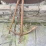 Anchor Image 2