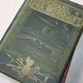 JULES VERN Michael Strogoff The Courier of the Czar by Jules Verne - 1st British - 1877 -Vintage "Around the world in 80 days" Jules Verne Image 3