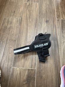 Julius K9 Harness