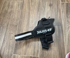Julius K9 Harness