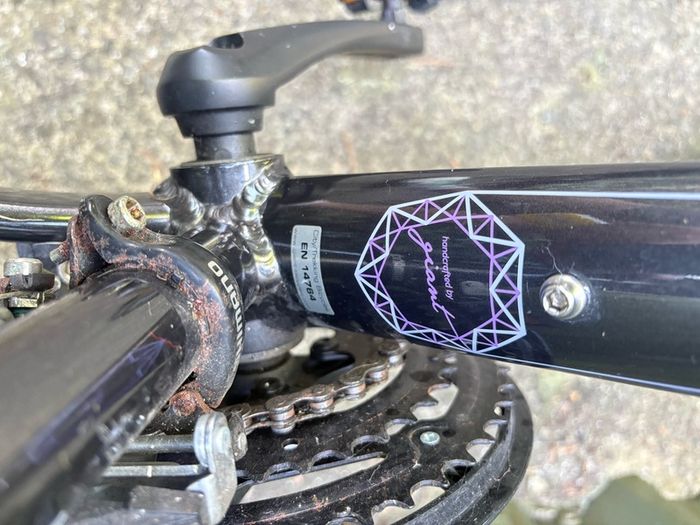 ladies liv bike