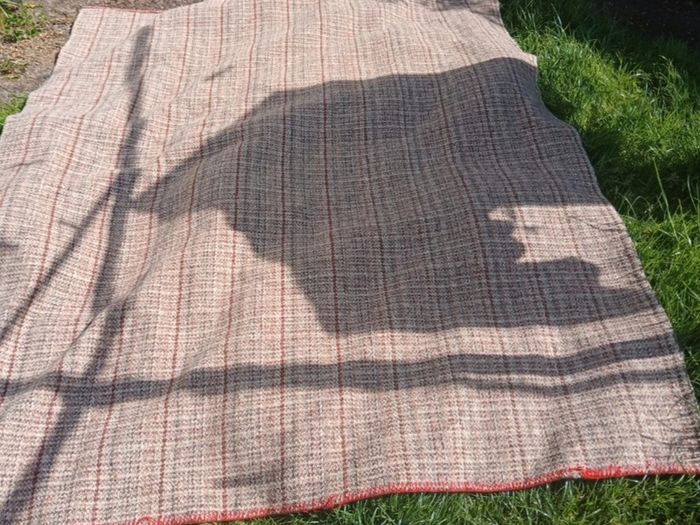 blanket