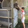 Equine Hydrotherapy Spa Image 3