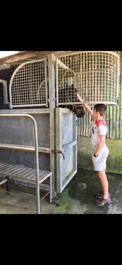 Equine Hydrotherapy Spa