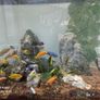 Aquarium 400l Image 3