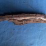 4 small pieces of bog oak Image 5