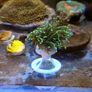 Frag Stand Image 2