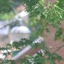 Canon Eos R8 + 50mm F1.8 Stm Lens Image 8