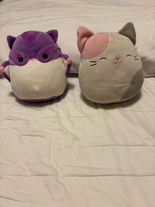 Squishmallow Teddies