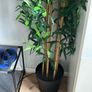Large fake plant Image 2