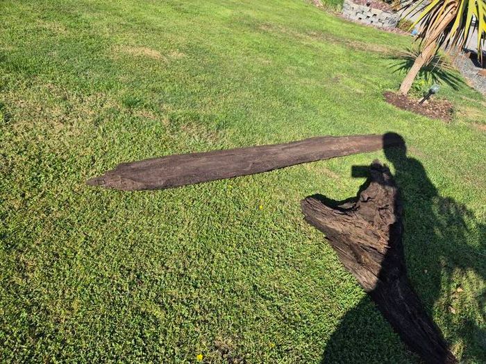 Ancient Bog Oak from Co.Kildare Bog