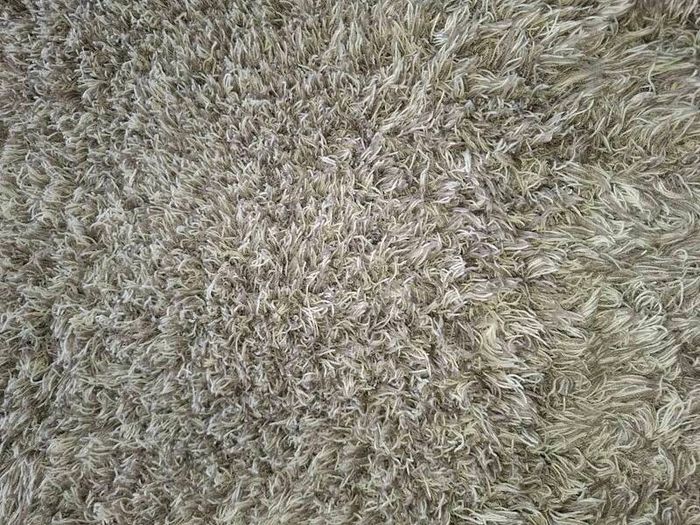 rug
