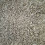 rug Image 3