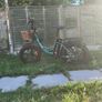 Electric Bicycle Image 6