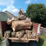firewood Image 5
