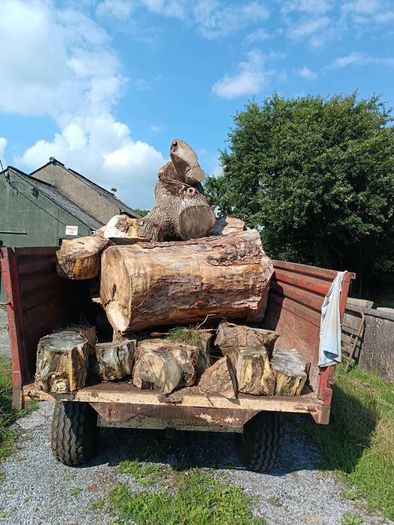 firewood