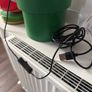Super Mario Piranha Plant Lamp & Toad Alarm Clock Image 2