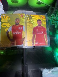 Thierry Henry , Steven Gerrard Gold Lion